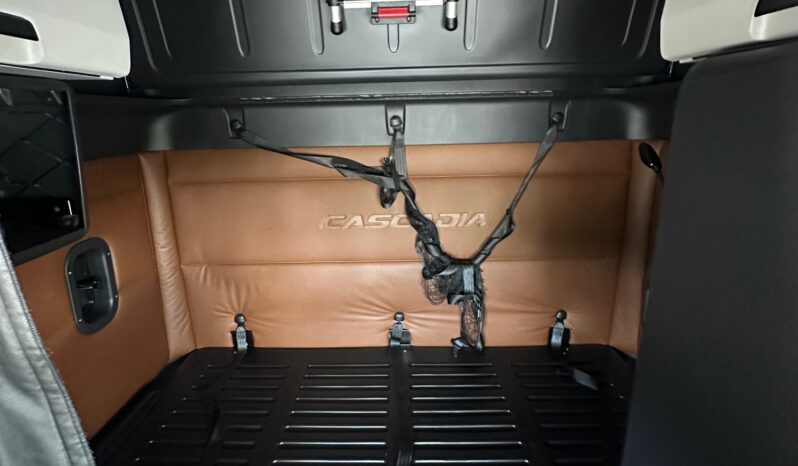2020 FREIGHTLINER CASCADIA 126 full