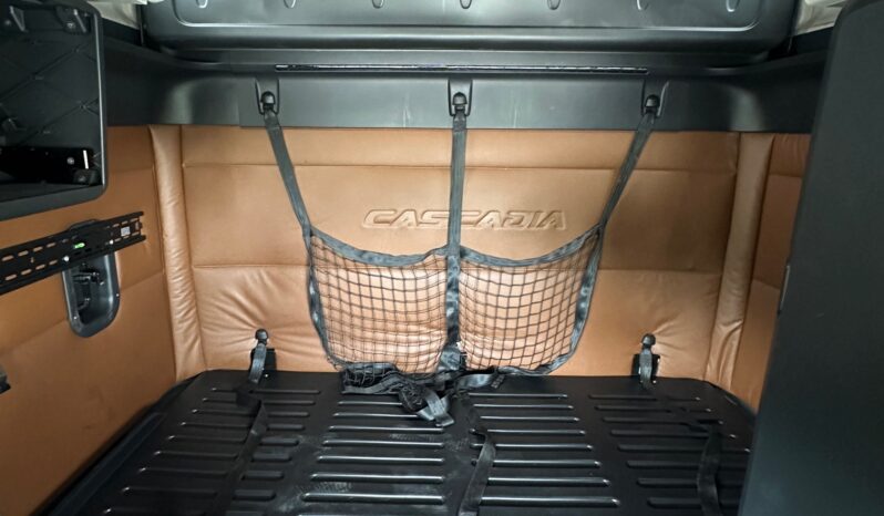 2020 FREIGHTLINER CASCADIA 126 full