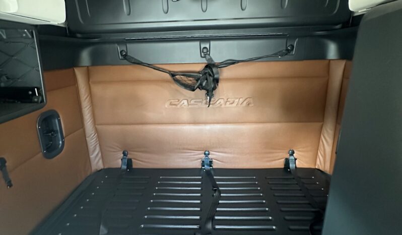 2020 FREIGHTLINER CASCADIA 126 full